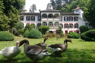 Bioland Südtirol zeichnet Leitbetriebe 2026 aus